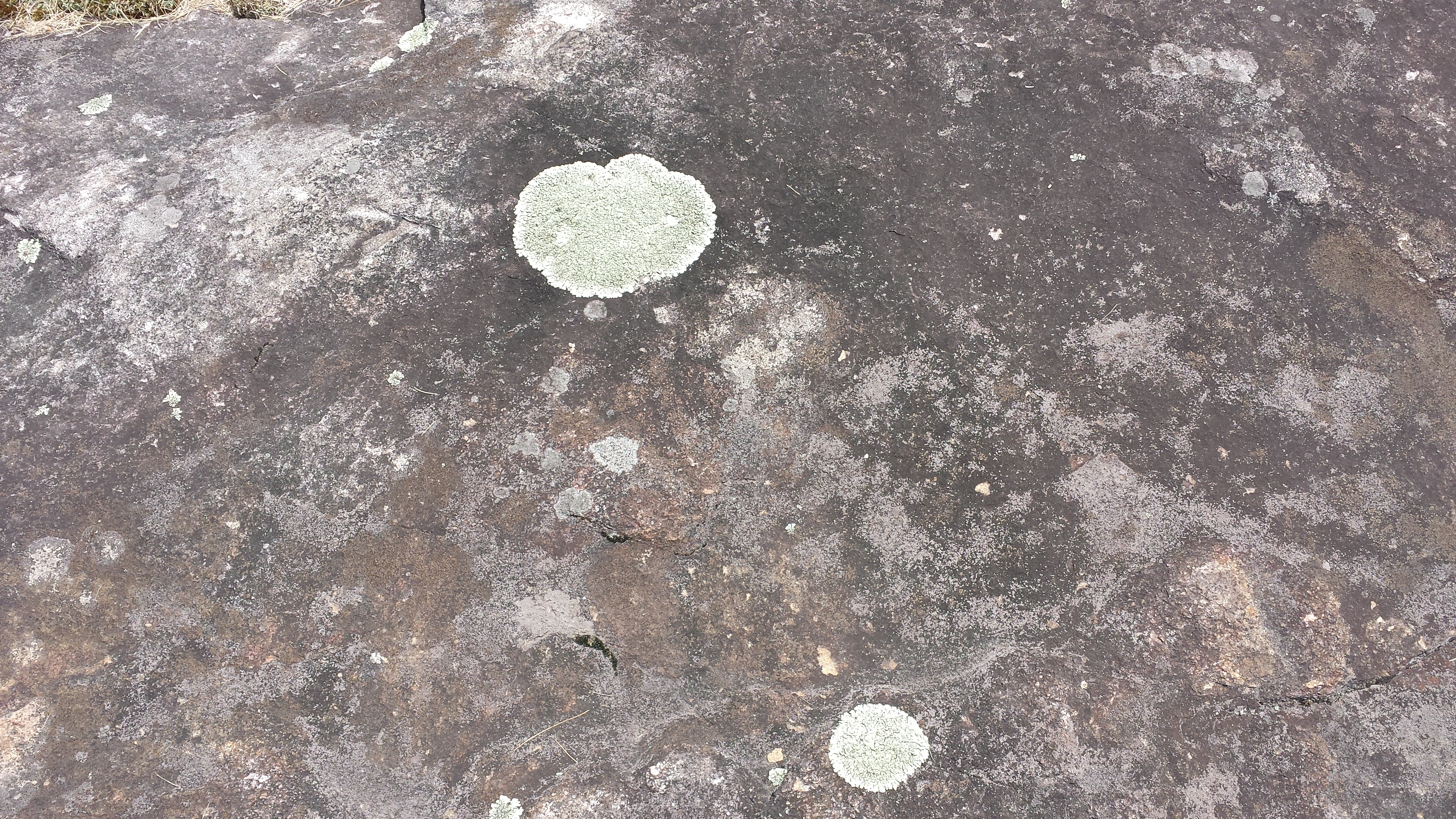 Flat rocks - Pine Point road