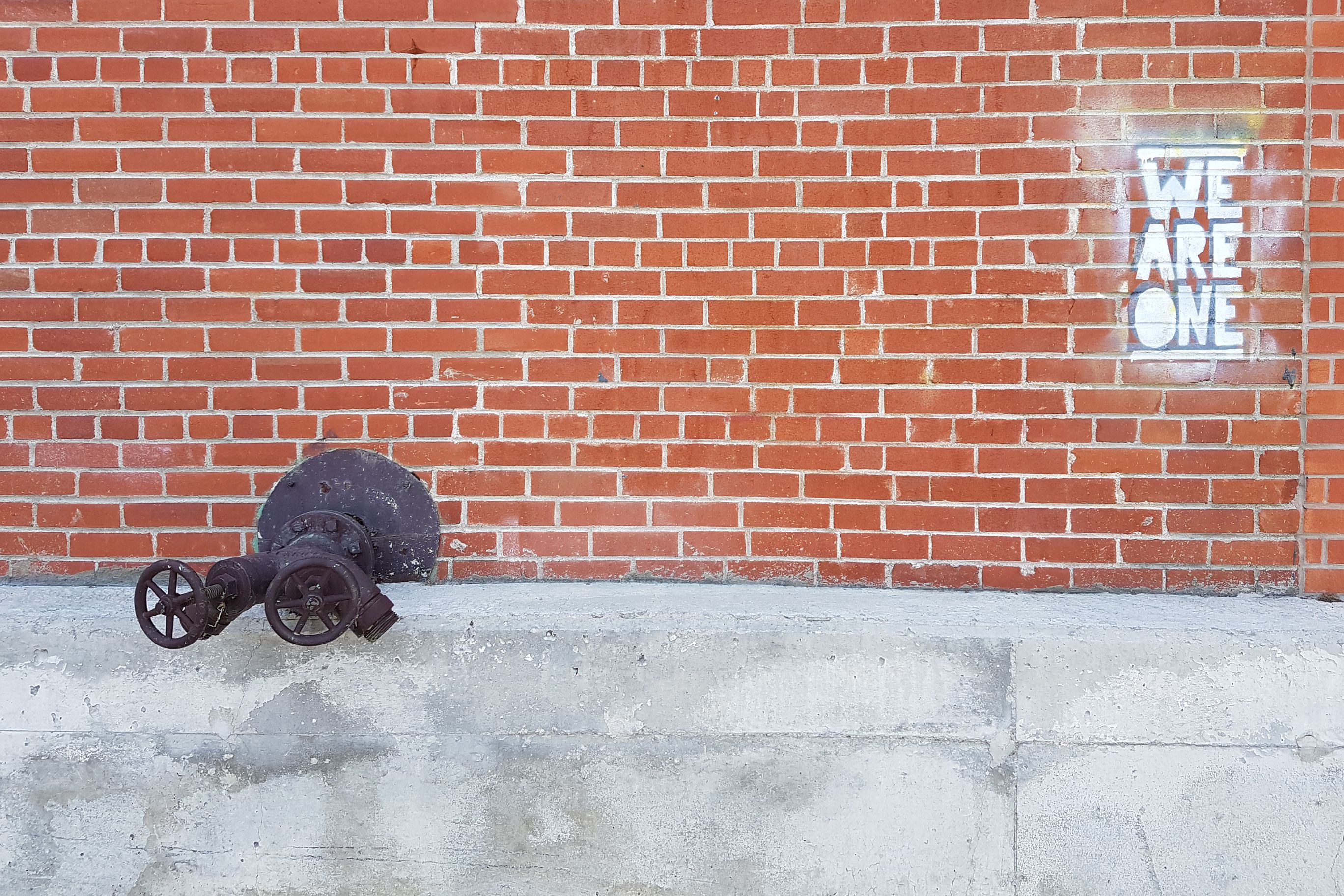 hope in a bleak world