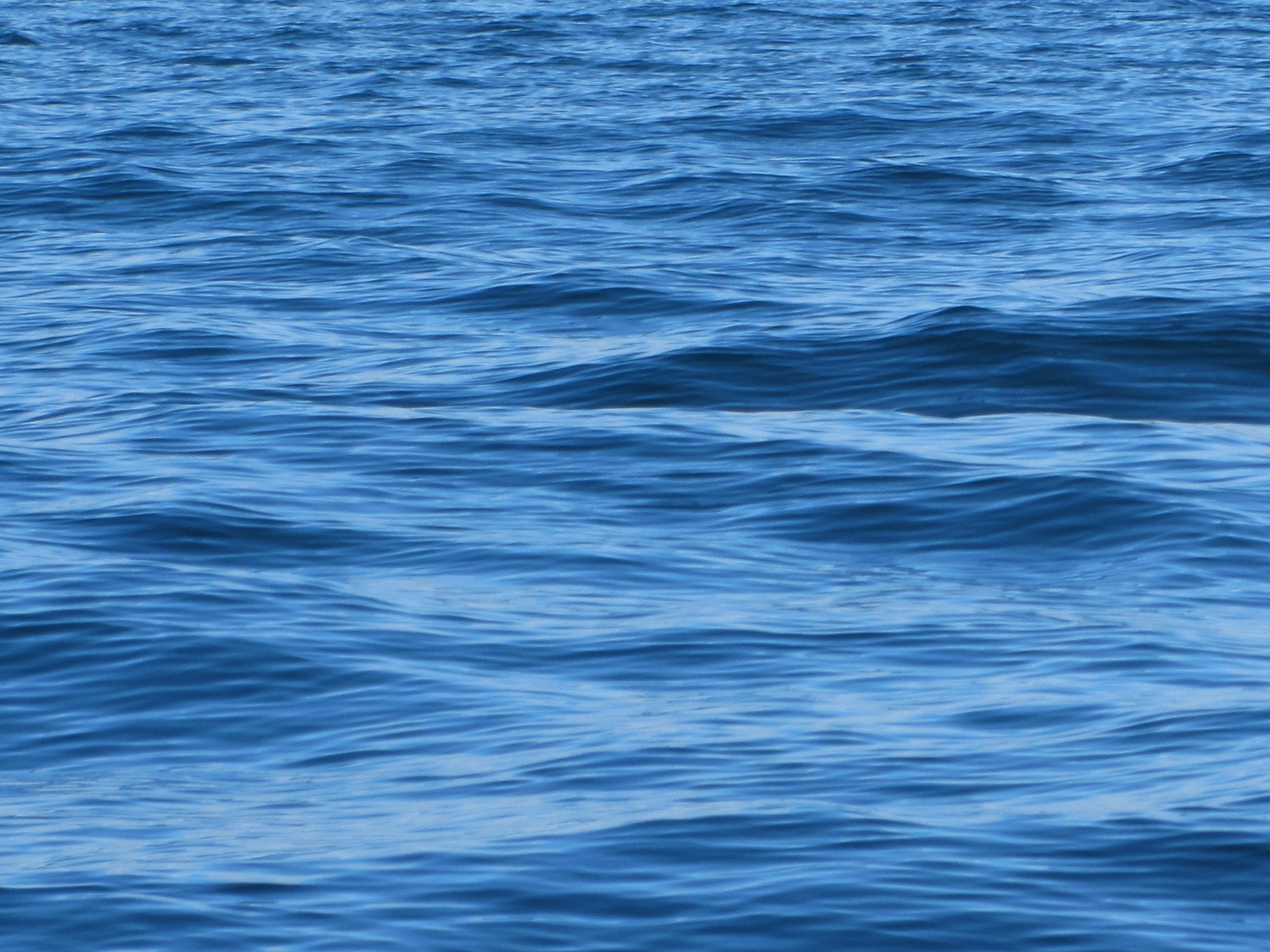 Arctic ocean at Qaummaarviit