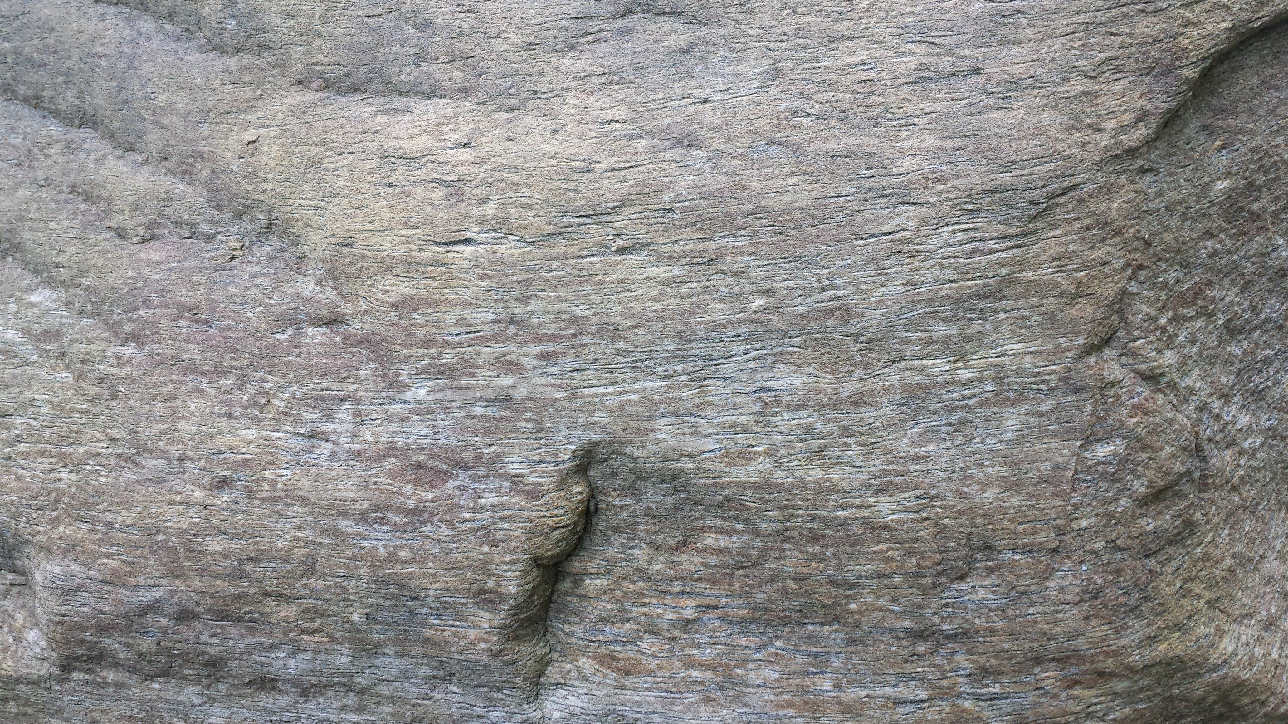 Beautiful texture in a boulder showing its belly button.