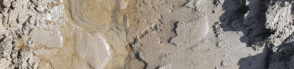Patterns, intricate and mysterious, sculpted into sand by the receding water.